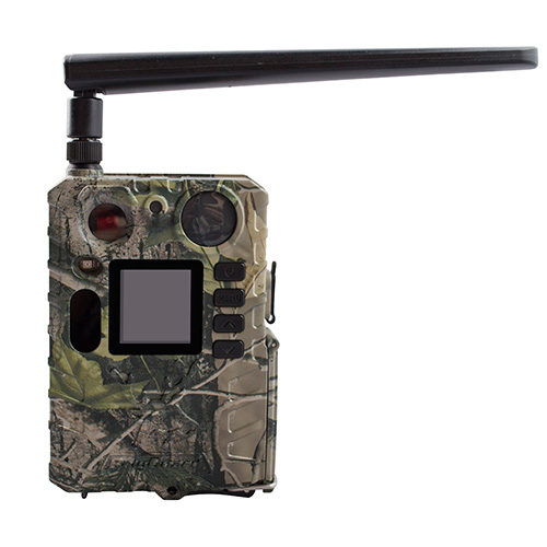 Фотоловушка ВG710-M (24МР, 1080HD, MMS/mail, 4G)